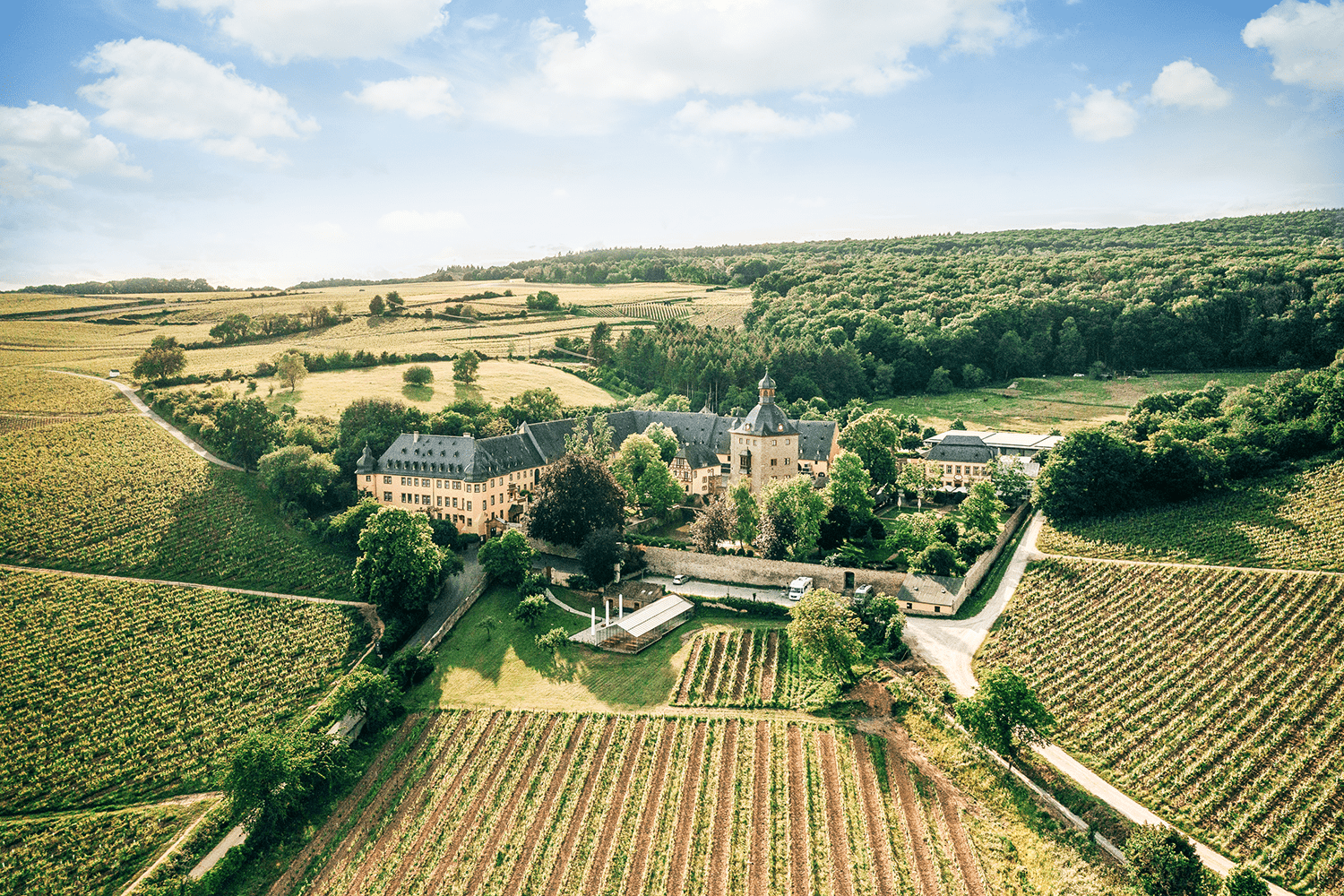 Winery Schloss Vollrads aerial view