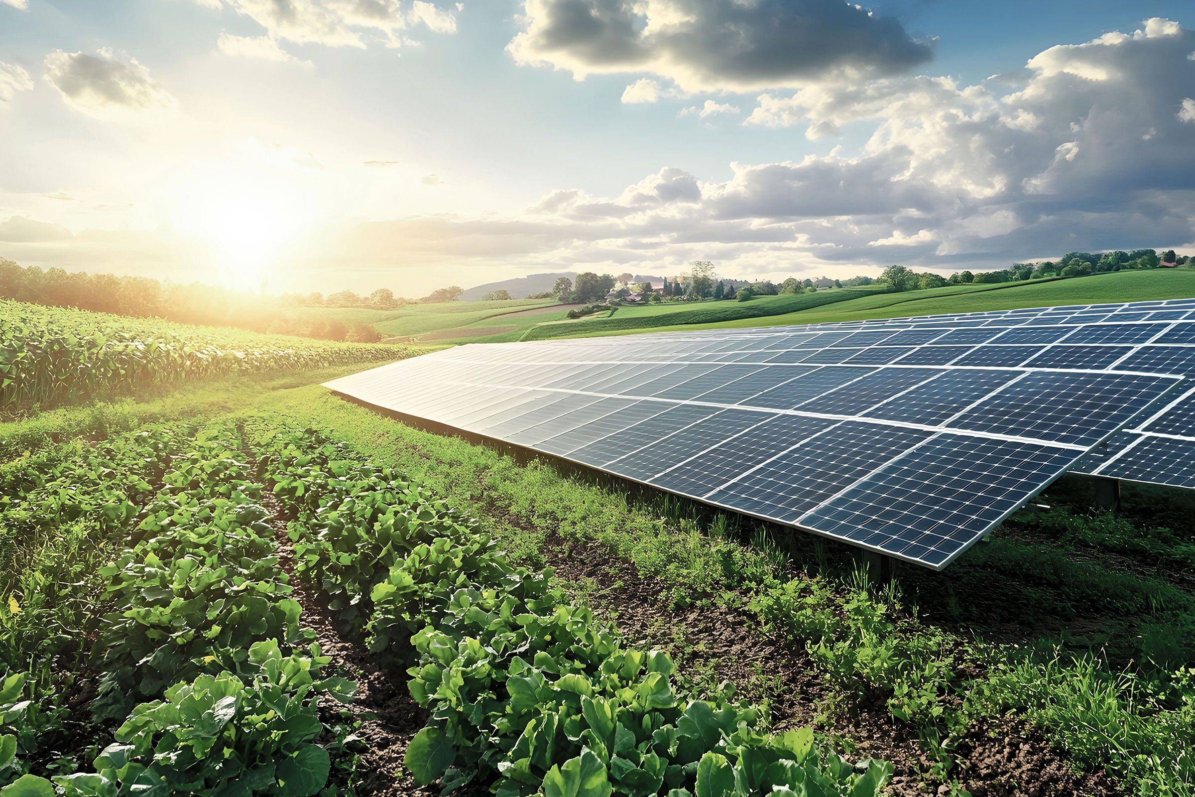 Agri Photovoltaik Projekte